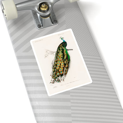 Indian Peafowl by Charles Dessalines D' Orbigny Kiss-Cut Stickers (4 Sizes)