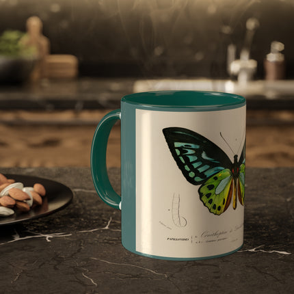 Green Birdwing by Charles Dessalines D' Orbigny Colorful Mugs, 11oz