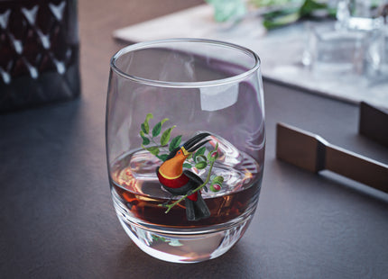 Channel Billed Toucan by Paul Gervais Whiskey Glass