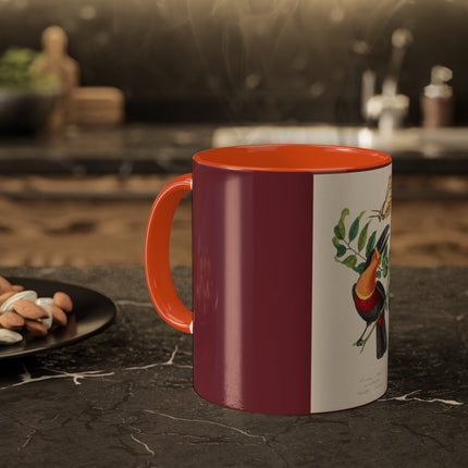 Channel Billed Toucan by Paul Gervais Colorful Mugs, 11oz