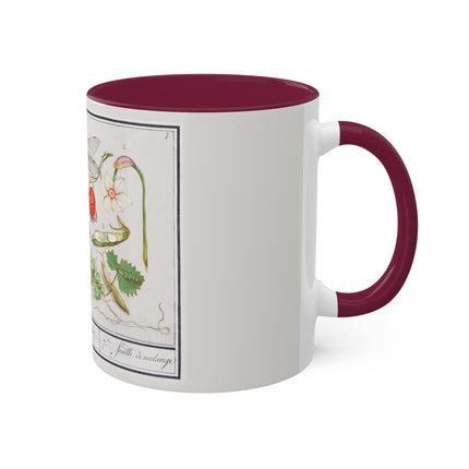 Natural History Ensemble, No. 7 by Anselmus Boëtius de Boodt Colorful Mugs, 11oz