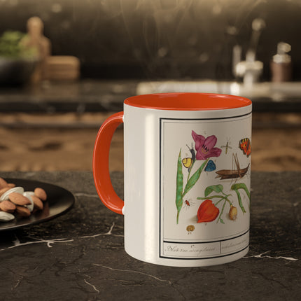 Natural History Ensemble, No. 17 by Anselmus Boëtius de Boodt Colorful Mugs, 11oz
