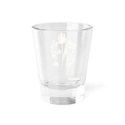 Tulip, Branches of Myrtle, and Shells by Maria Sibylla Merian Shot Glass, 1.5oz