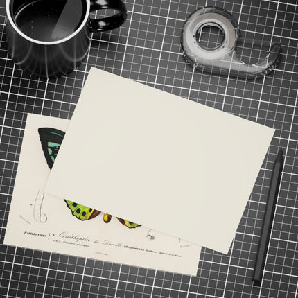 Green Birdwing by Charles Dessalines D' Orbigny Postcards (envelopes included) - Bundles of 10, 30, 50 Pieces