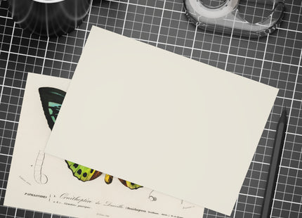 Green Birdwing by Charles Dessalines D' Orbigny Postcards (envelopes included) - Bundles of 10, 30, 50 Pieces