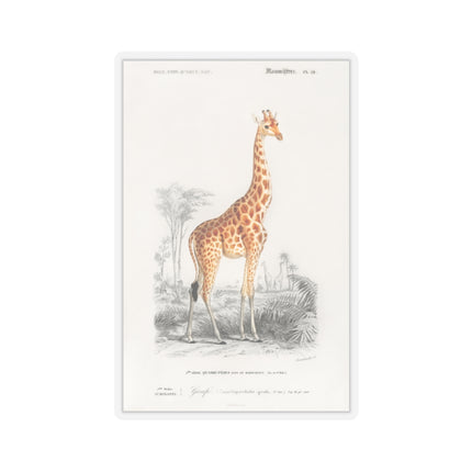 Giraffe by Charles Dessalines D' Orbigny Kiss-Cut Stickers (4 Sizes)