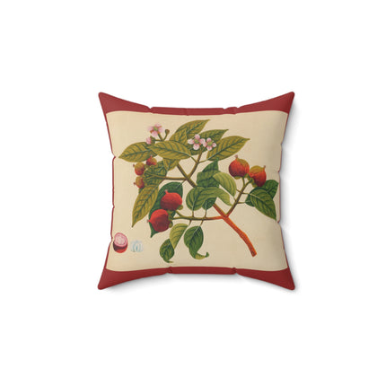 Album of watercolors of Asian fruits and flowers Pl.17 by Anonymous Spun Polyester Square Pillow