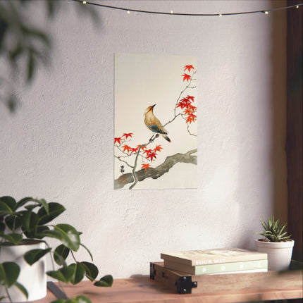 Japanese Plague Bird on Maple by Ohara Koson Fine Art Posters