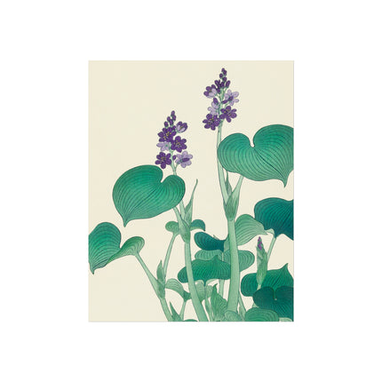 Blooming Hosta by Ohara Koson Fine Art Posters