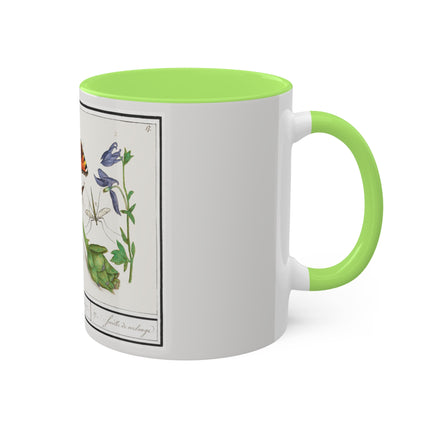 Natural History Ensemble, No. 17 by Anselmus Boëtius de Boodt Colorful Mugs, 11oz