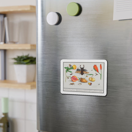 Natural History Ensemble, No. 1 Die-Cut Magnets (5 Sizes)