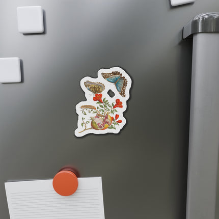 Blue Butterflies and Pomegranate by Maria Sibylla Merian Die-Cut Magnets (5 Sizes)