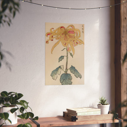 Chrysanthemum Grace Fine Art Poster