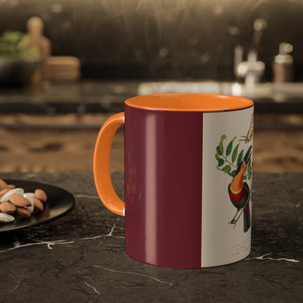 Channel Billed Toucan by Paul Gervais Colorful Mugs, 11oz