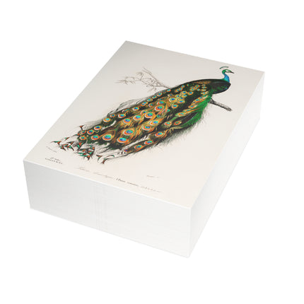 Indian Peafowl by Charles Dessalines D'Orbigny Postcards (envelopes included) - Bundles of 10, 30, 50 Pieces