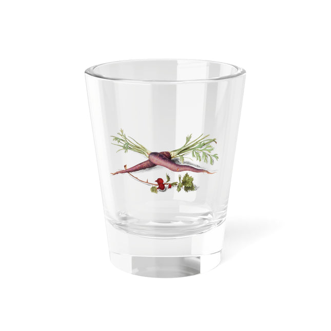 Carrot, Daucus carota and red currant, Ribes rubrum by Anselmus Boëtius de Boodt Shot Glass, 1.5oz