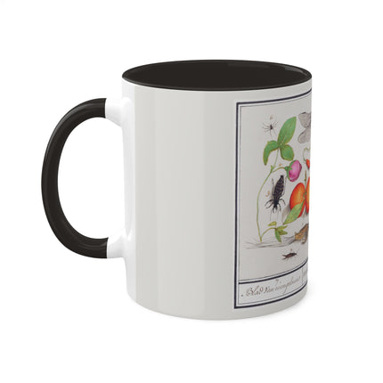 Natural History Ensemble, No. 7 by Anselmus Boëtius de Boodt Colorful Mugs, 11oz