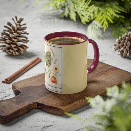 Artichoke, Broad Beans, and Lantern Plant by Anselmus Boëtius de Boodt Colorful Mugs, 11oz