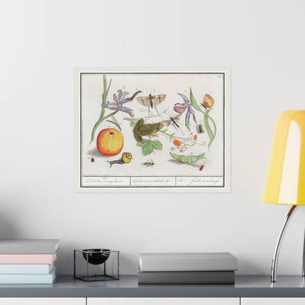 Natural History Ensemble, No. 12 by Anselmus Boëtius de Boodt Matte Horizontal Posters