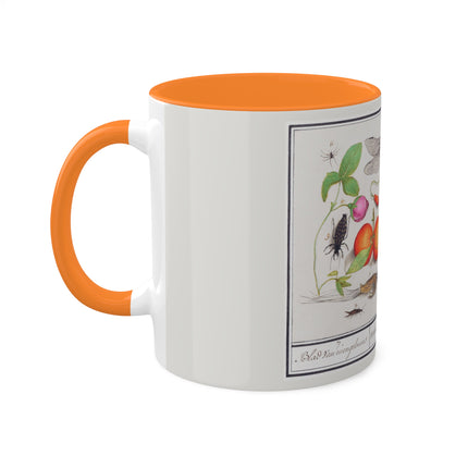 Natural History Ensemble, No. 7 by Anselmus Boëtius de Boodt Colorful Mugs, 11oz