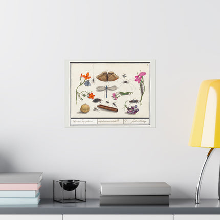 Natural History Ensemble, No. 8 by Anselmus Boëtius de Boodt Matte Horizontal Posters