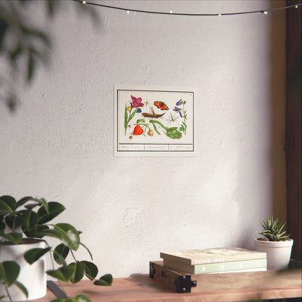 Natural History Ensemble, No. 17 by Anselmus Boëtius de Boodt Matte Horizontal Posters