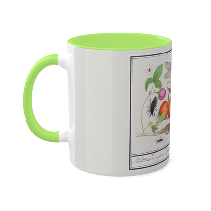 Natural History Ensemble, No. 7 by Anselmus Boëtius de Boodt Colorful Mugs, 11oz