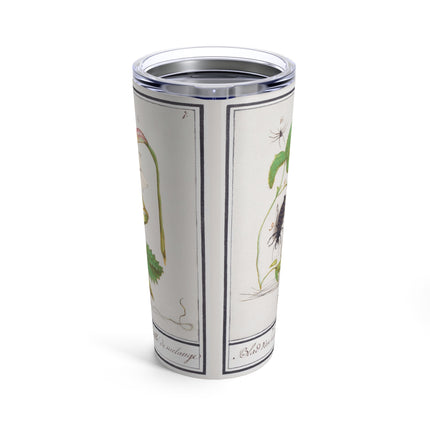 Natural History Ensemble, No. 7 by Anselmus Boëtius de Boodt Tumbler 20oz
