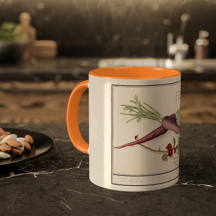 Carrot, Daucus Carota and Red currant, Ribes rubrum by Anselmus Boëtius de Boodt Colorful Mugs, 11oz