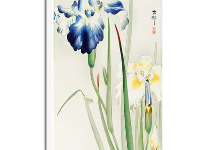 Irises by Ohara Koson Matte Canvas, Stretched, 0.75"