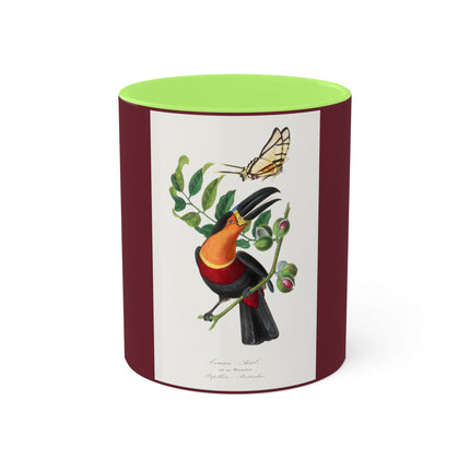 Channel Billed Toucan by Paul Gervais Colorful Mugs, 11oz
