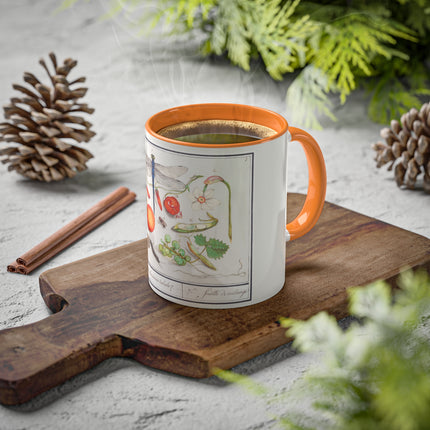 Natural History Ensemble, No. 7 by Anselmus Boëtius de Boodt Colorful Mugs, 11oz