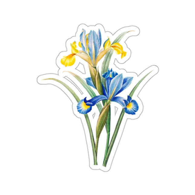 Spanish Iris botanical illustration by Pierre-Joseph Redouté Kiss-Cut Stickers (4 Sizes)