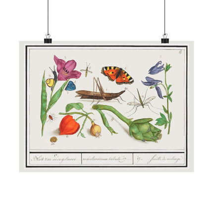 Natural History Ensemble, No. 17 by Anselmus Boëtius de Boodt Matte Horizontal Posters