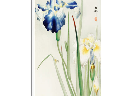 Irises by Ohara Koson Matte Canvas, Stretched, 0.75"