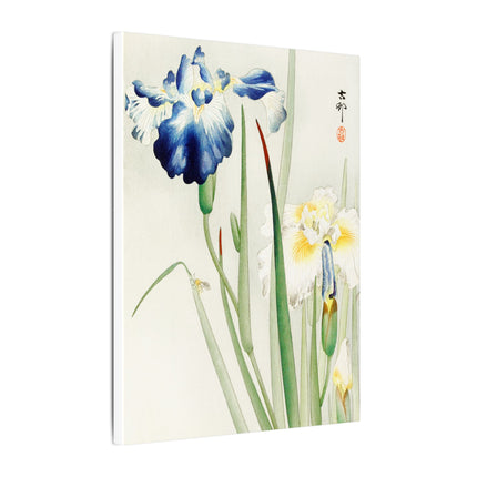 Irises in Bloom by Ohara Koson – Japanese Elegance