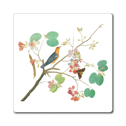 Orange-Headed Ground Thrush by Shaikh Zain al–Din Magnet (3 Sizes)