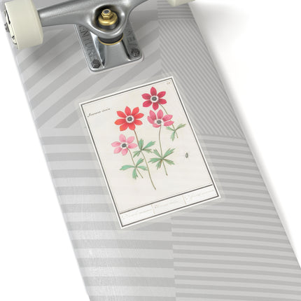 Anemoon, Anemone by Anselmus Boëtius de Boodt Kiss-Cut Stickers (4 Sizes)