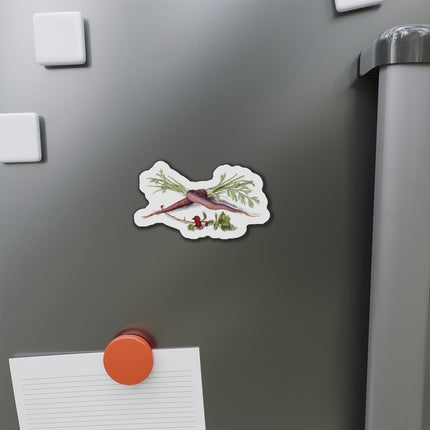Carrot, Daucus carota and red currant, Ribes rubrum by Anselmus Boëtius de Boodt Die-Cut Magnets (5 Sizes)