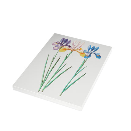 Iris, Iris Sibirica by Anselmus Boëtius de Boodt Postcards (envelopes included) - Bundles of 10, 30, 50 Pieces