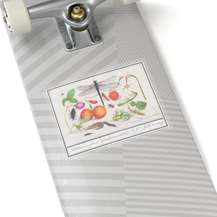 Natural History Ensemble, No. 7 by Anselmus Boëtius de Boodt Kiss-Cut Stickers (4 Sizes)