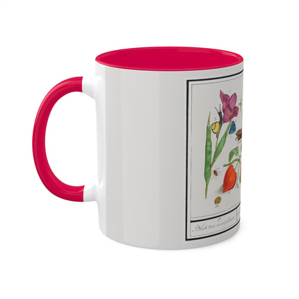 Natural History Ensemble, No. 17 by Anselmus Boëtius de Boodt Colorful Mugs, 11oz