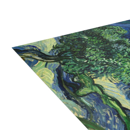 Olive Trees by Vincent Van Gogh Postcards (envelopes included) - Bundles of 10, 30, 50 Pieces