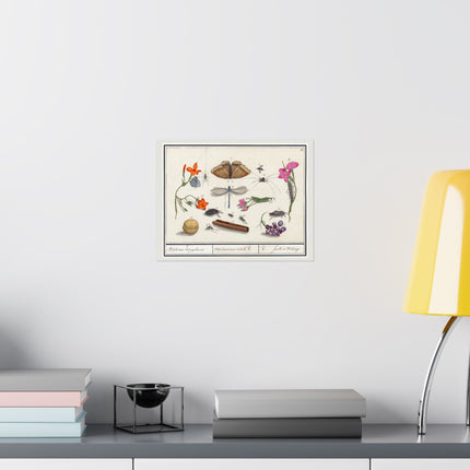 Natural History Ensemble, No. 8 by Anselmus Boëtius de Boodt Matte Horizontal Posters