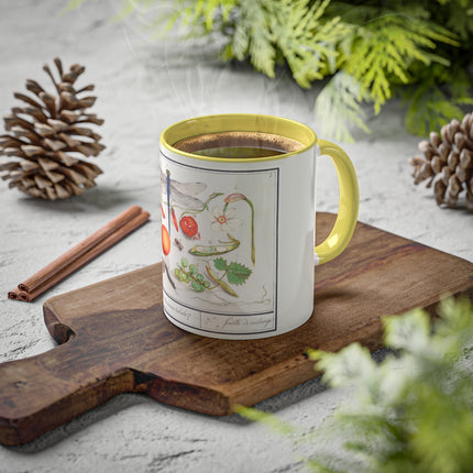 Natural History Ensemble, No. 7 by Anselmus Boëtius de Boodt Colorful Mugs, 11oz