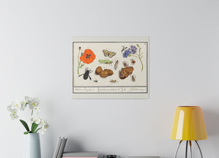 Natural History Ensemble, No. 17 by Anselmus Boëtius de Boodt Matte Canvas, Stretched, 0.75"