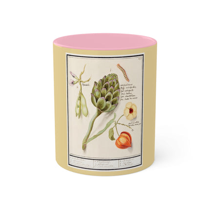 Artichoke, Broad Beans, and Lantern Plant by Anselmus Boëtius de Boodt Colorful Mugs, 11oz