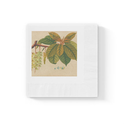 Album of watercolors of Asian fruits and flowers Pl.03 by Anonymous White Coined Napkins