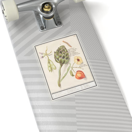 Artichoke, Cynara scolymus, broad beans, Vicia faba and lampion plant, Physalis by Anselmus Boëtius de Boodt Kiss-Cut Stickers (4 Sizes)