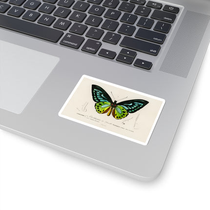 Green Birdwing by Charles Dessalines D' Orbigny Kiss-Cut Stickers (4 Sizes)